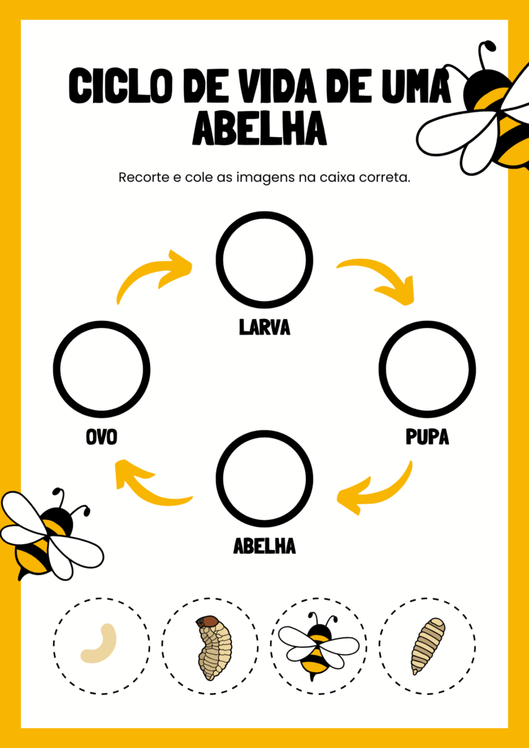 Copia-de-Ciencias-1-1.png
